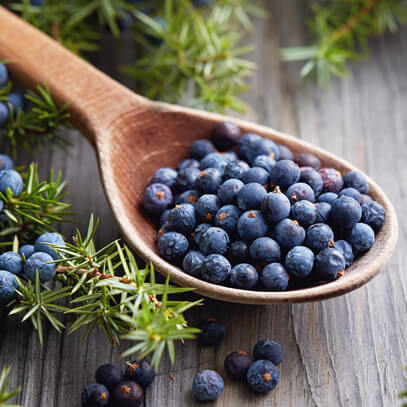 <h2>Ingredients Explained for Oil Spritz</h2>