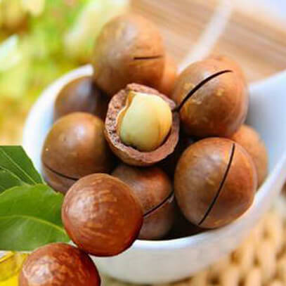 <h2>Ingredients Explained For our Herbal Magnesium Cream</h2>