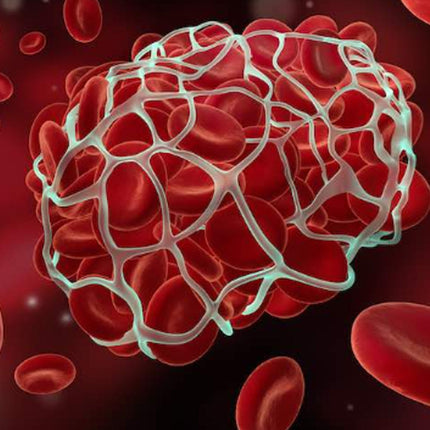 Magnesium is Anti-thrombotic and Helps Prevent Blood Clots