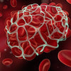 Magnesium is Anti-thrombotic and Helps Prevent Blood Clots