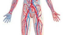 Blood Clot (Thrombosis) Risk Increases With Inflammation - Elektra Magnesium
