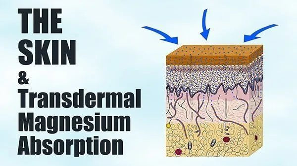 Transdermal Magnesium - Myth or Reality? - Elektra Magnesium