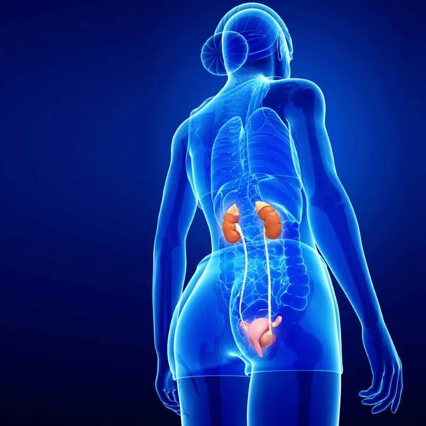 Overcome Chronic Fatigue and Burnout: Recharge Your Electrical System - Elektra Magnesium