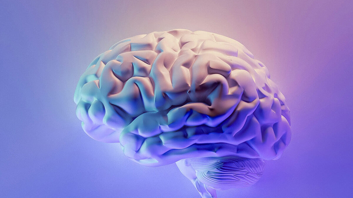 magnesium improves brain function