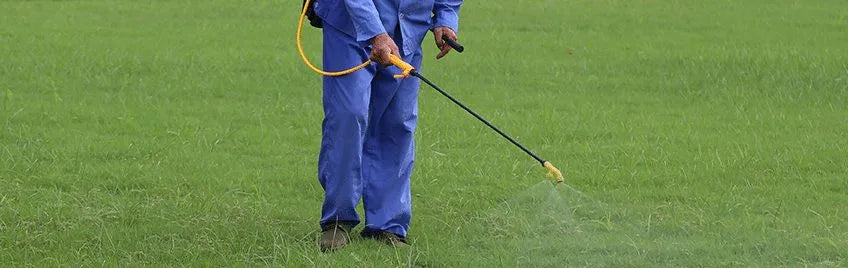 Glyphosate: a Toxin Round Up That Steals Energy