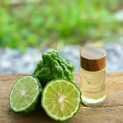 <h2>Ingredients Explained For our 4 Magnesium Creams</h2>