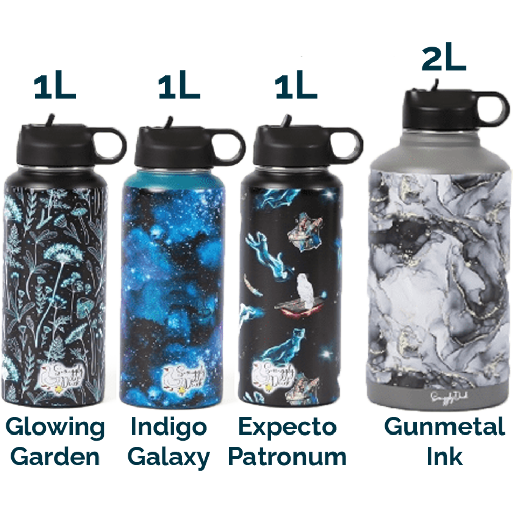 Stainless Steel Water Bottle