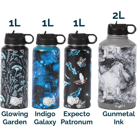 Stainless Steel Water Bottle