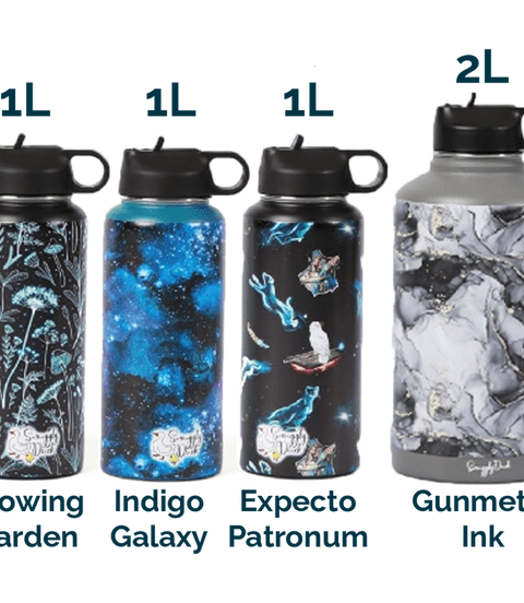 Stainless Steel Water Bottle