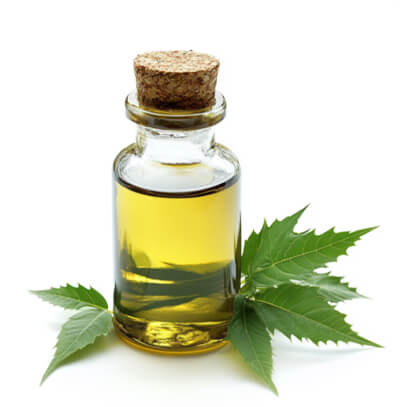 <h2>Ingredients Explained for Charge Lotion</h2>
