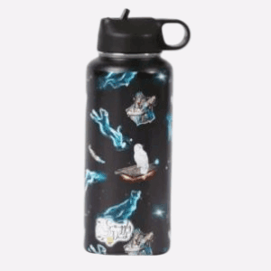Stainless Steel Water Bottle