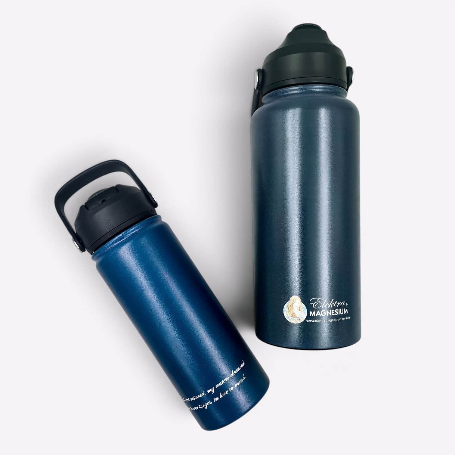 Stainless Steel Water Bottle