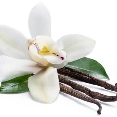 <h2>Ingredients Explained For our 4 Magnesium Creams</h2>