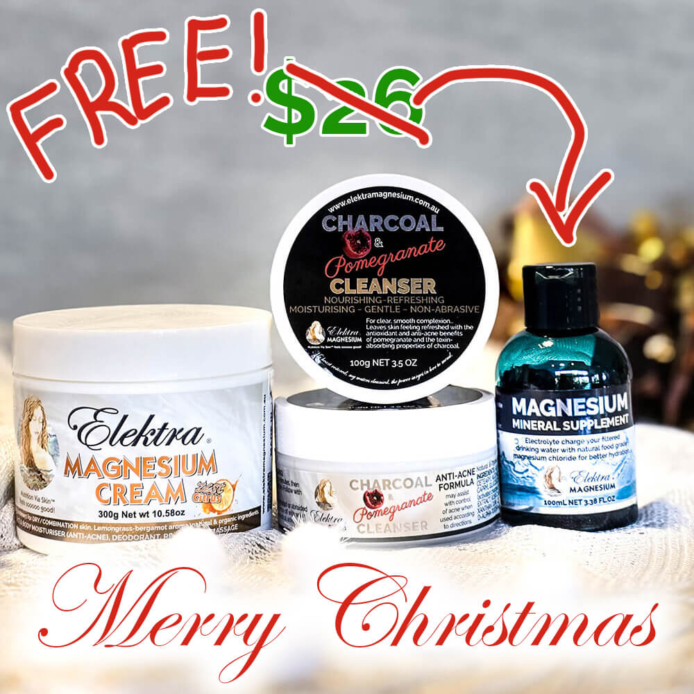 Zest-Citrus Christmas Bundle