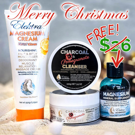 Zest-Citrus Christmas Bundle